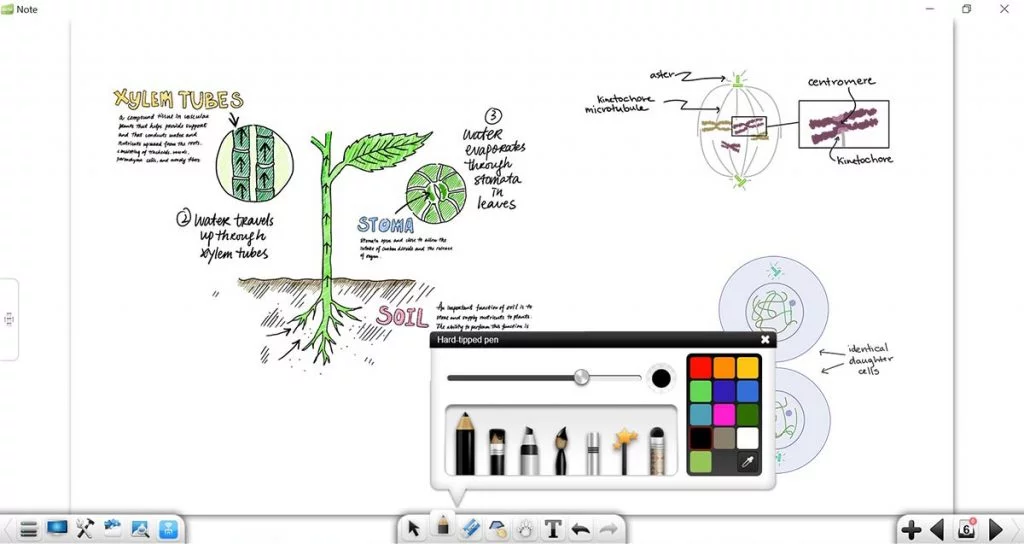 note1-eco