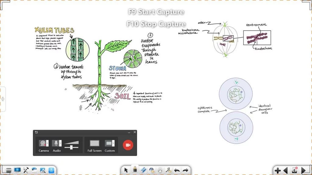 notevecapture2-eco
